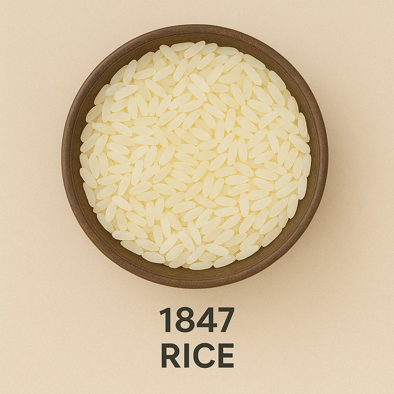 1847 Rice