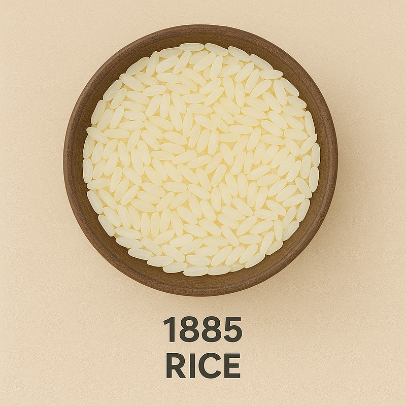 1885 Rice