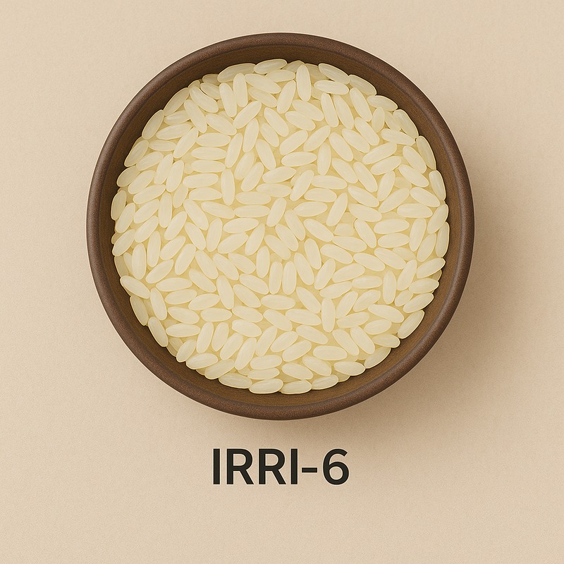 IRRI-6
