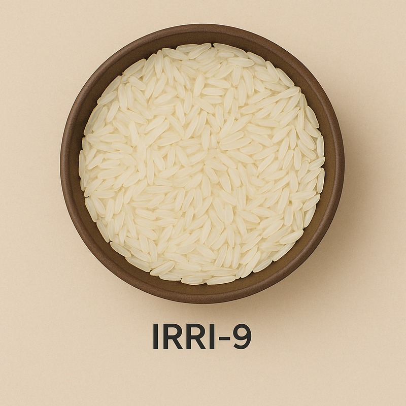 IRRI-9